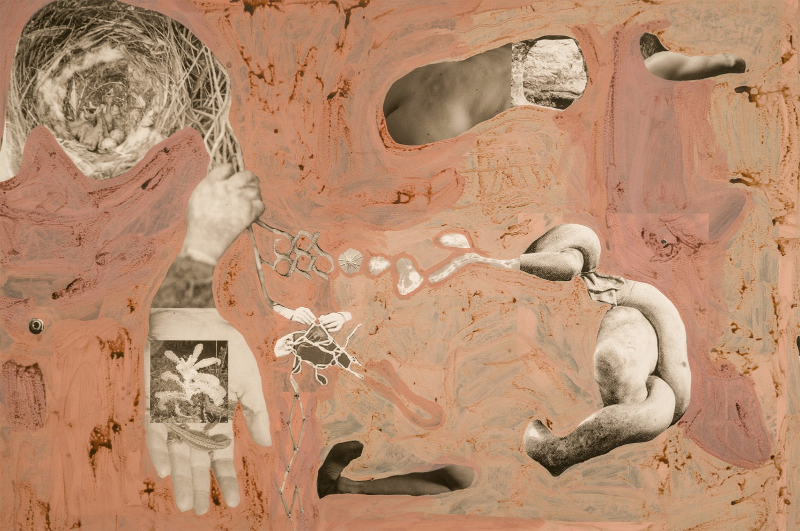 圖十二、《地勢 (關(guān)于時間，關(guān)于身體)》 (細節(jié)圖)，O?zlem Alt?n，2019