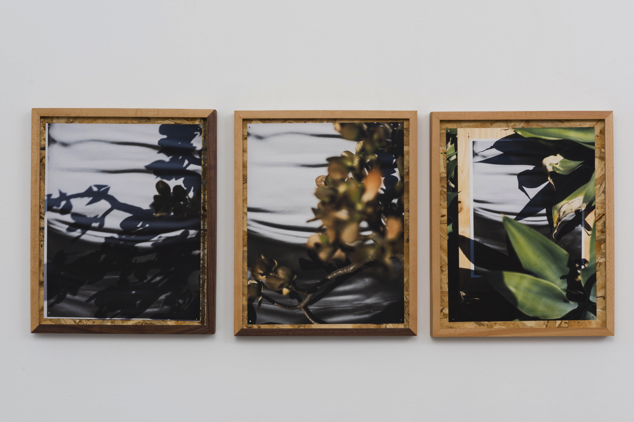 圖四、從左至右《庫卡蒙格牧場 34.1064° N, 117.5931° W. 》2018《回聲公園 34.0782° N, 118.2606° W.》 2018《康普頓 33.8958° N, 118.2201° W. 2018》David Alekhuogie